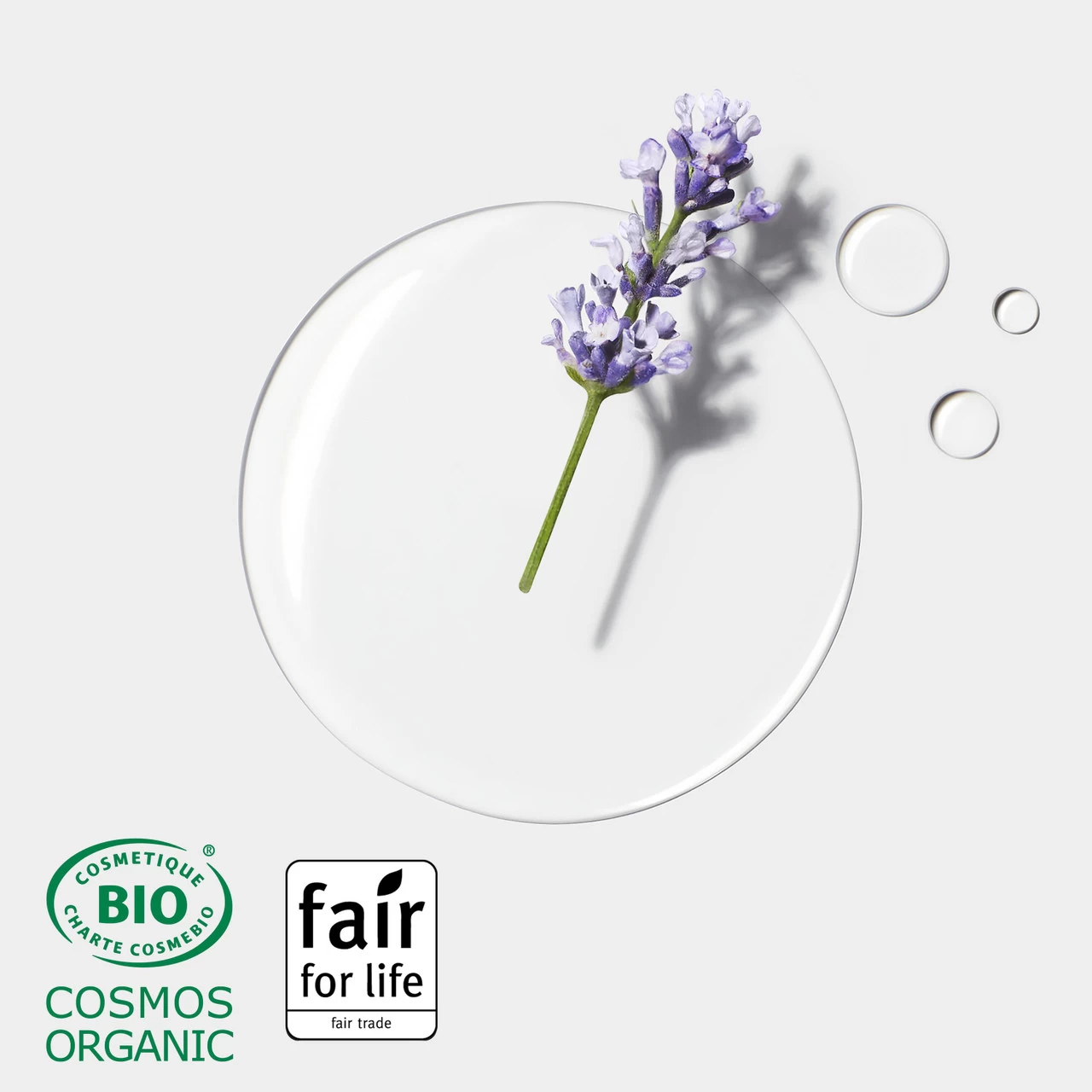 Shampooing Sec Naturia René Furterer 200ml 4 Shampooing Sec Naturia René Furterer 200ml – Image 4