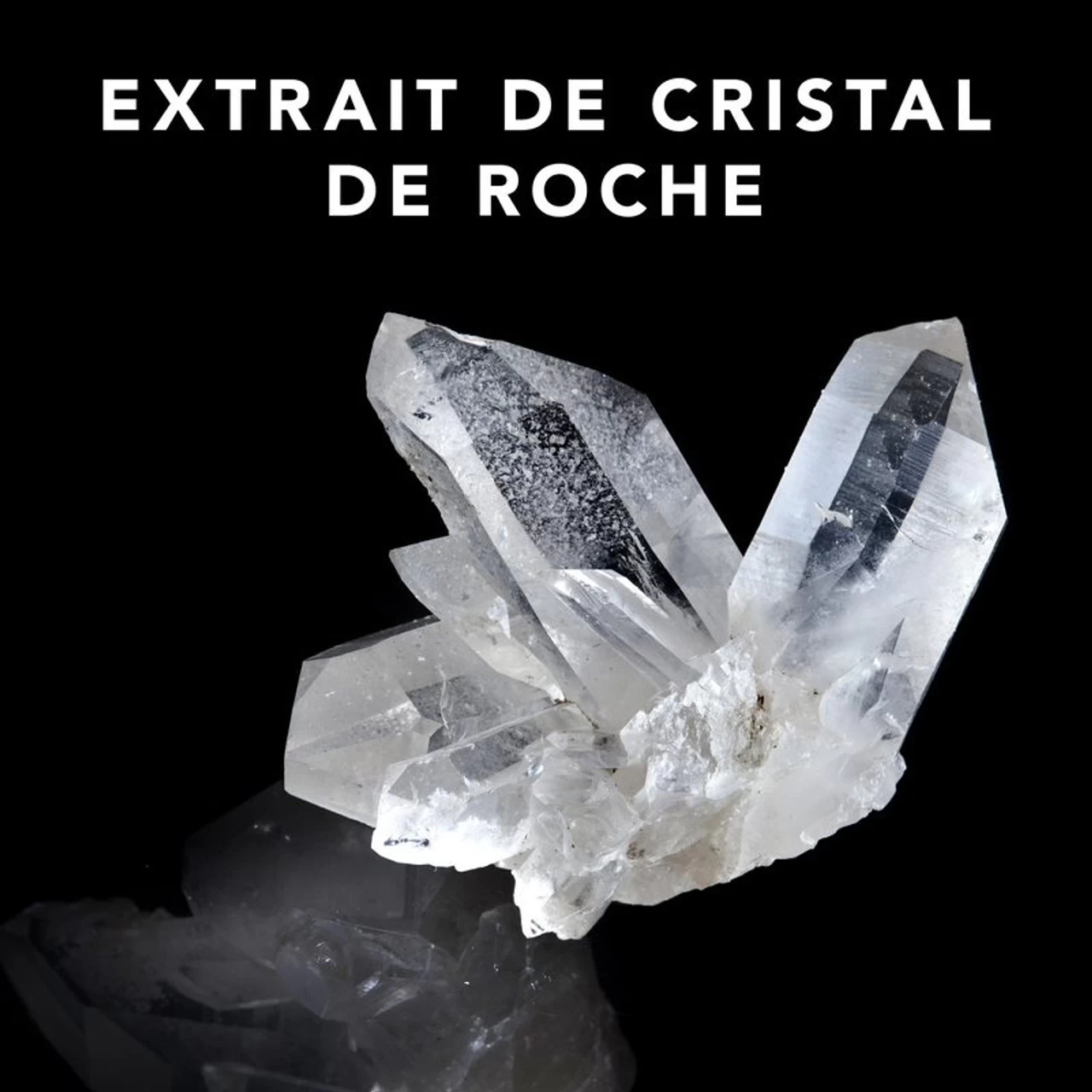 Soin Trilliance Sebastian 1000 Ml 2 Soin Trilliance Sebastian 1000 Ml – Image 2