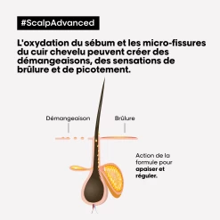 Shampooing Anti-Inconfort Scalp Advanced L'Oréal 1500ml -Capillaires Produits Magasin scalp adavanced antiinconfort 17500.1684847770